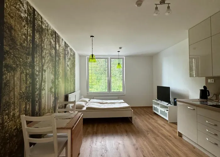 Krumlovsky Vltavin Apartment Český Krumlov